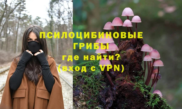 ECSTASY Алзамай