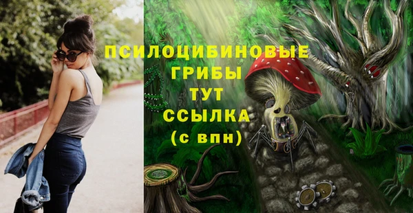 Альфа ПВП Алексеевка