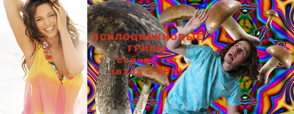 сатива Алексин